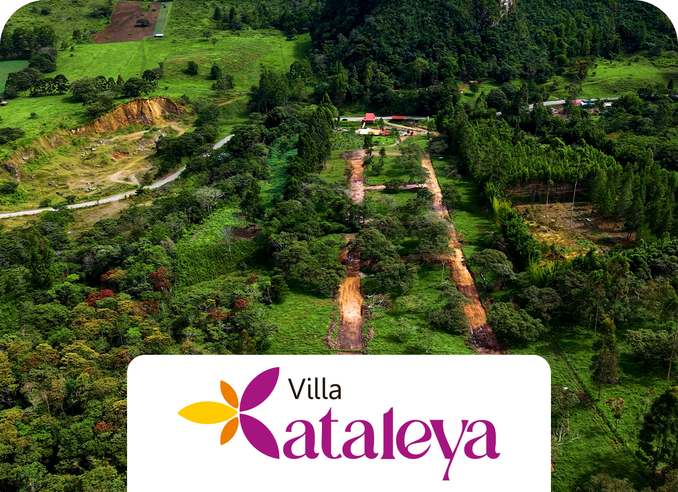 Cataleya